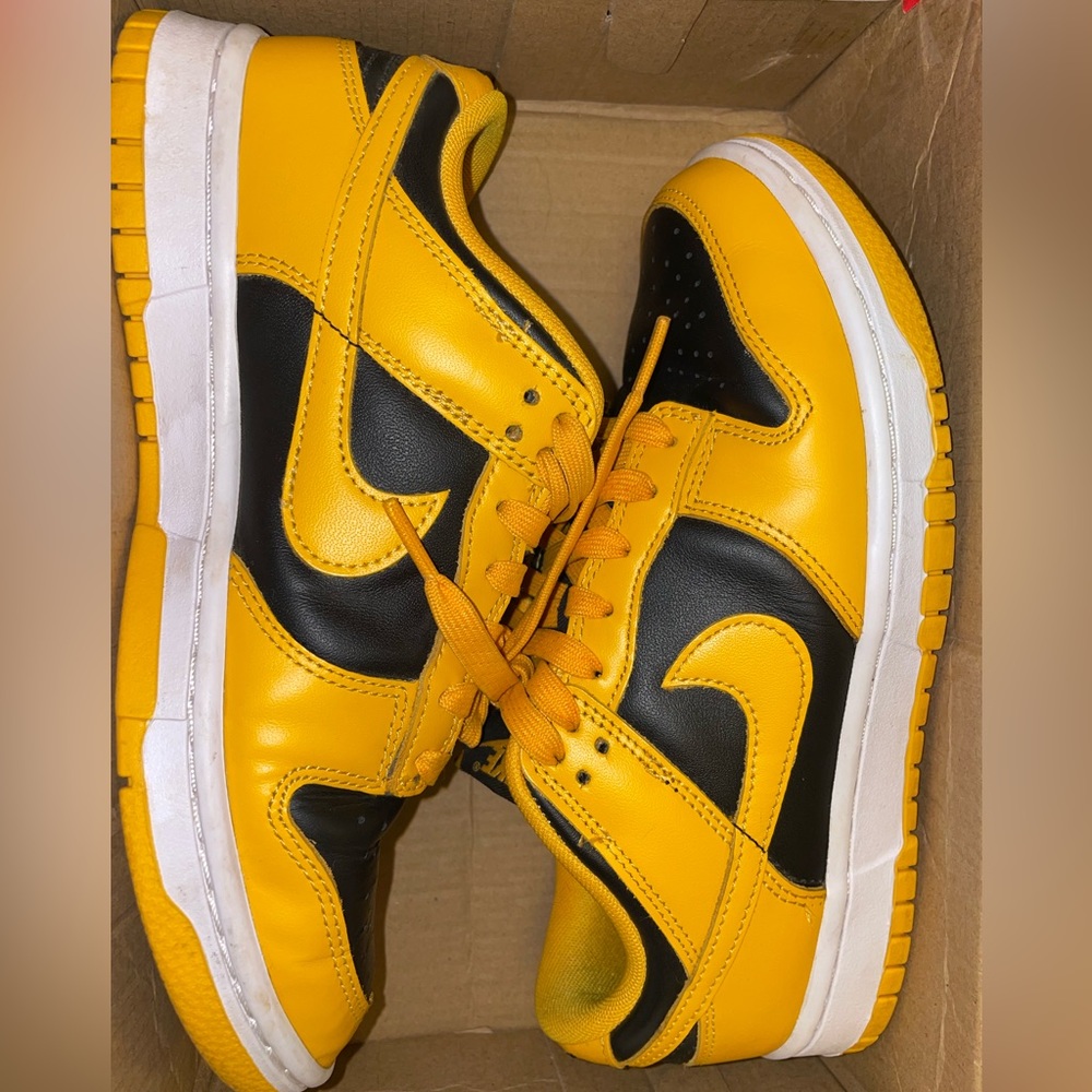 Nike Dunk Low Sneakers
